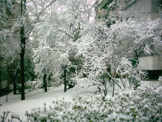 Nieveeee! 1.bmp